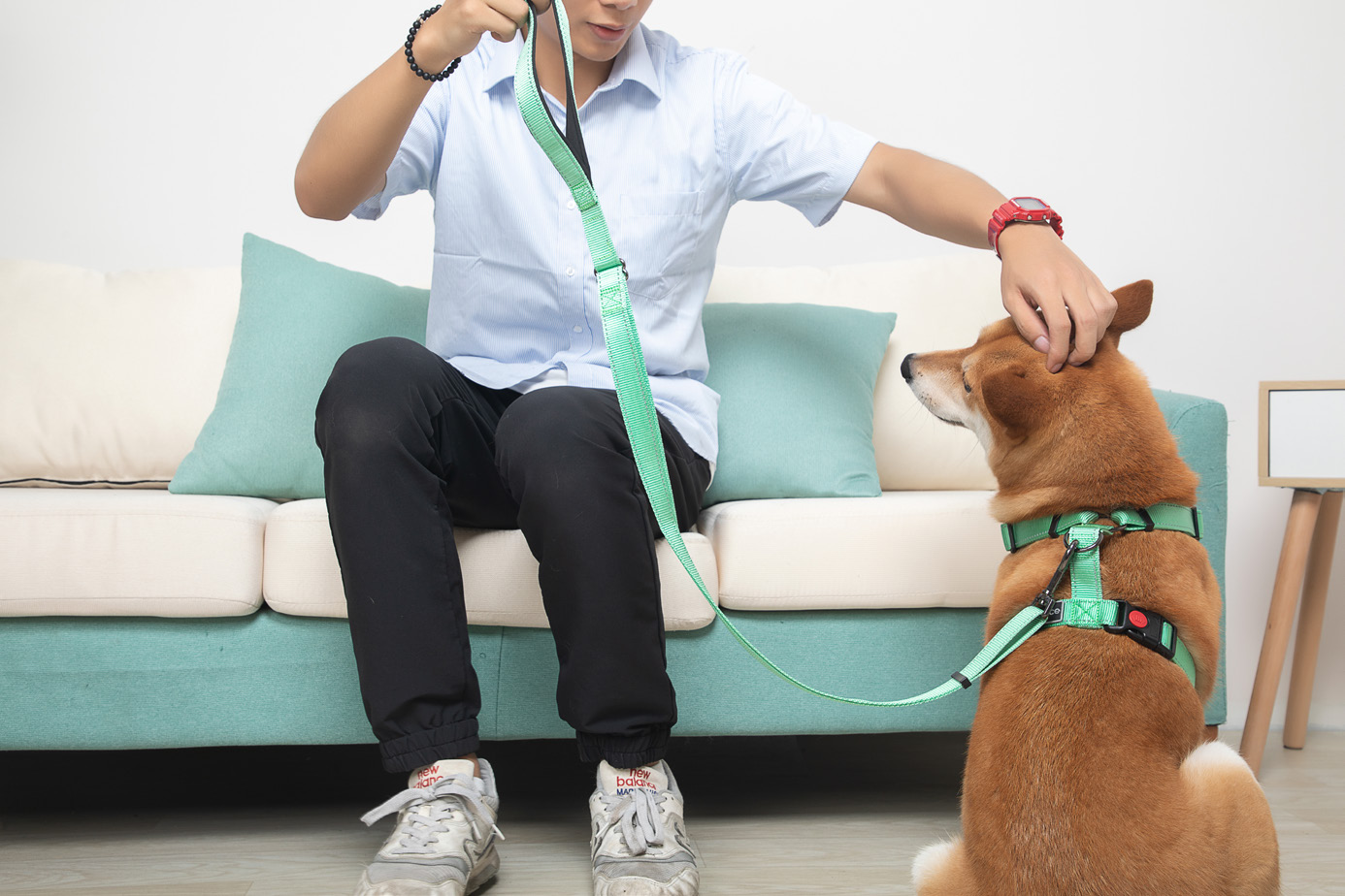 American - style Harness - Image 7