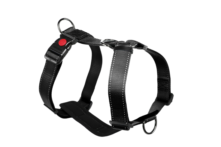 American - style Harness - Image 2