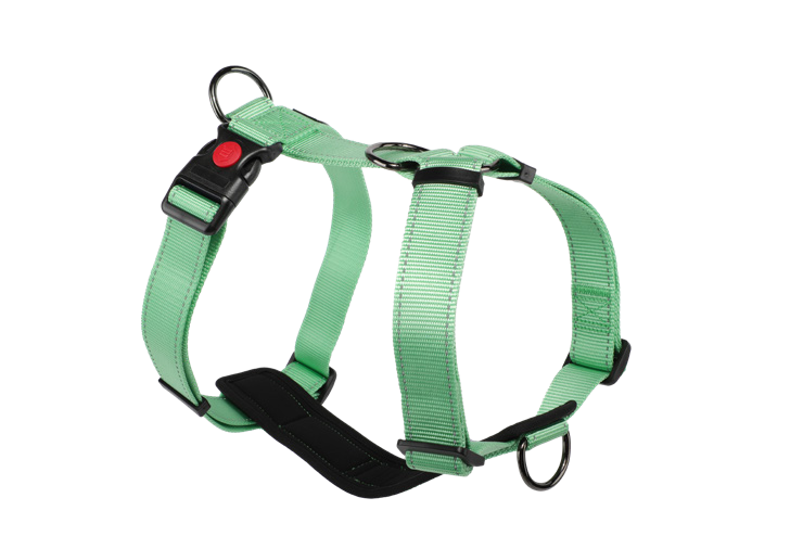 American - style Harness - Image 3